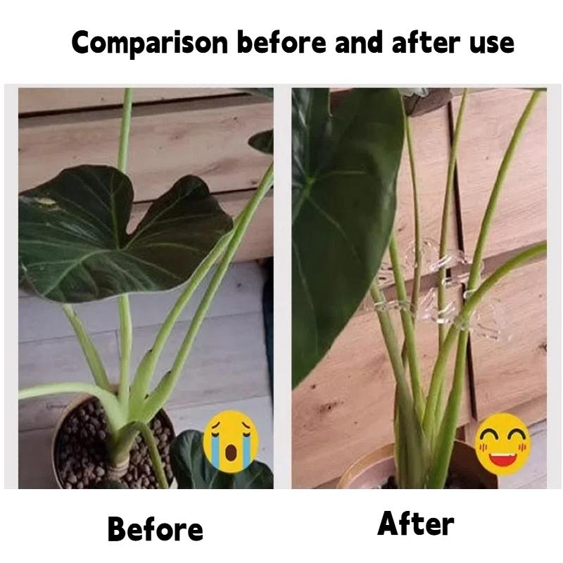 Monstera Plant Support Plants Holder Leaf Shape Plant Stand Fixation Bracke Plastic Support Pile Tools Gardening Accessories