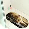 Cute Pet Cat Picture Balcony Bathroom Mat Hydrophobic Non-Slip Door Mat Swimming Pool Public Places Non-Slip Floor Mat