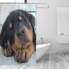 Vodotěsný sprchový závěs pro každodenní použití Roztomilá štěňata rotvajlera Koupelnová sada Polyesterová tkanina Sprchový závěs s háčky 60x72 palce