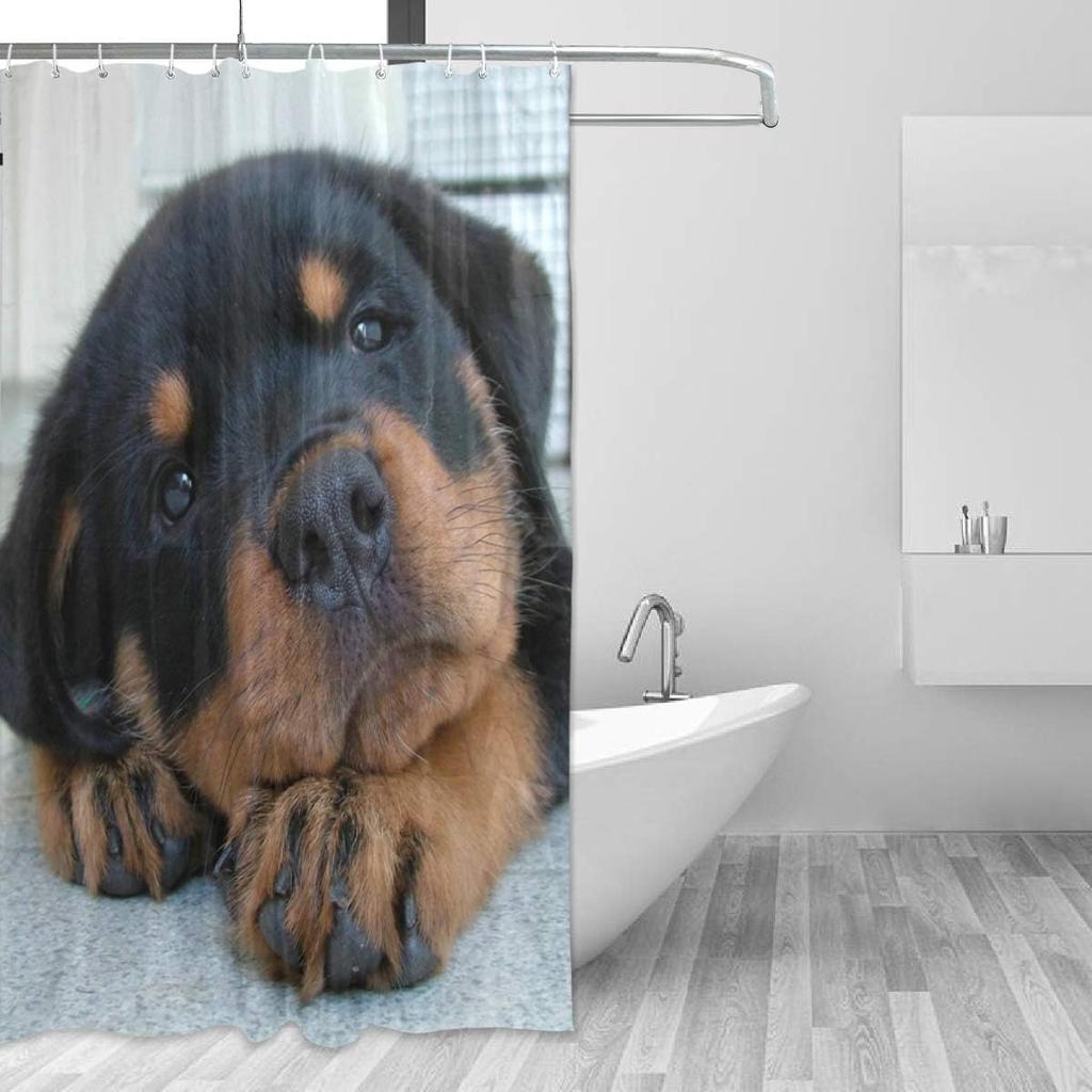 Vodotěsný sprchový závěs pro každodenní použití Roztomilá štěňata rotvajlera Koupelnová sada Polyesterová tkanina Sprchový závěs s háčky 60x72 palce