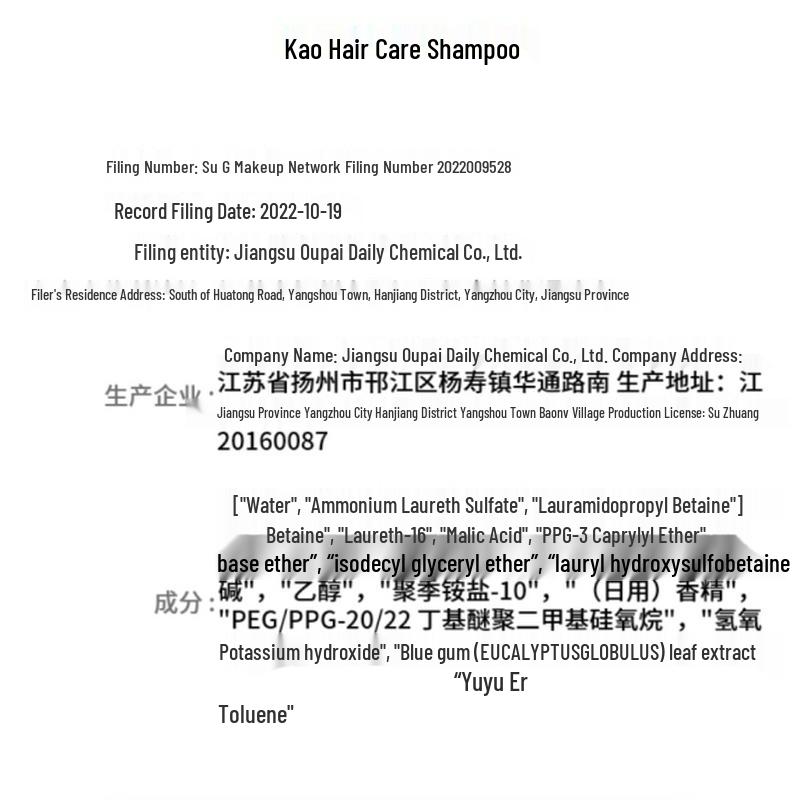 KAO Anti-Dandruff & Oil Control Shampoo & Conditioner Set 1650ml