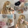 Korean Style Moth Orchid Acetate Hair Clips Sweet Flower Series Hairpin Ins Side Clip For Women Girls Hair Accessories