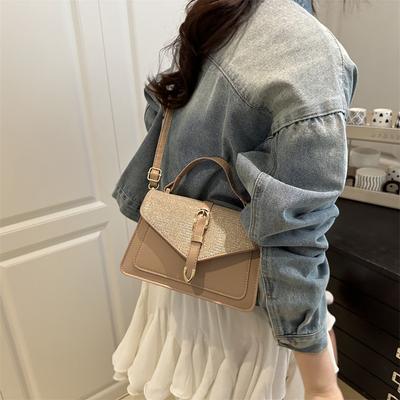Popular Fashion Single Shoulder Oblique Span Small Square Bag Retro Foreign Style Women's Bag 2025 New Autumn Texture Handbag
