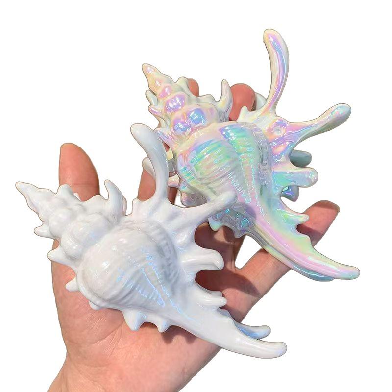 Summer Beach Seashell Claw Hair Clip: Ocean Style Shark Accessory