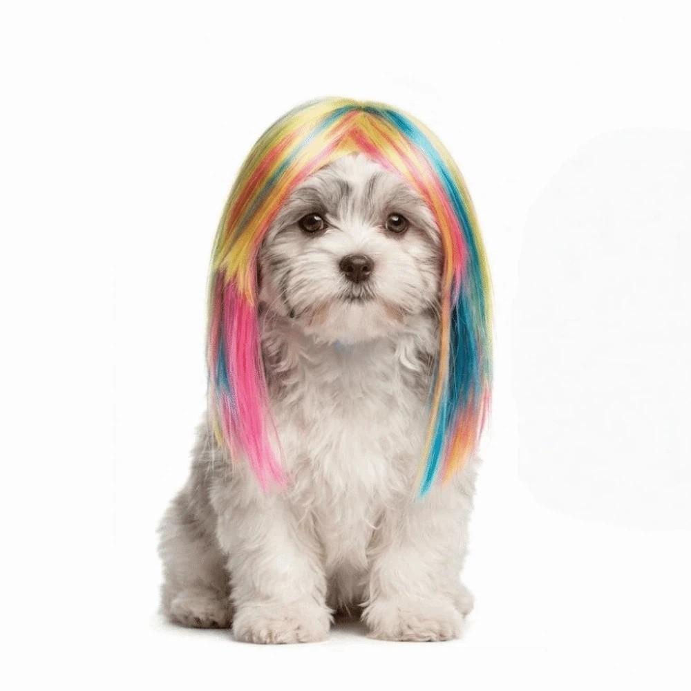 Adjustable Fit Cat Dragon Fruit Color Mullet Hair Dogs Cats Cosplay Wigs Halloween Celebration