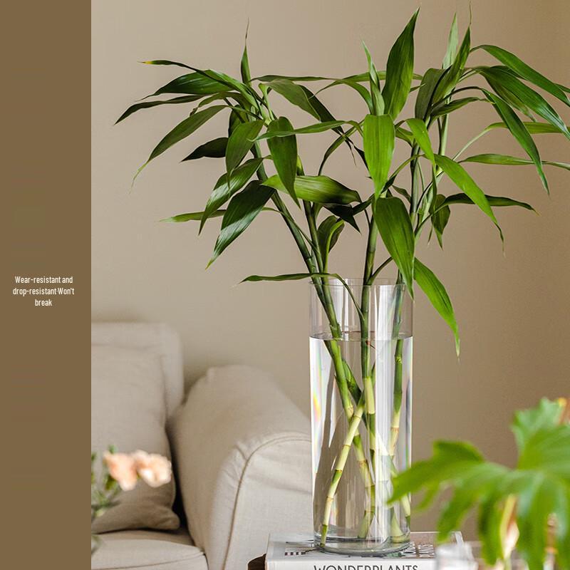 Transparent Acrylic Cylindrical Flower Vase