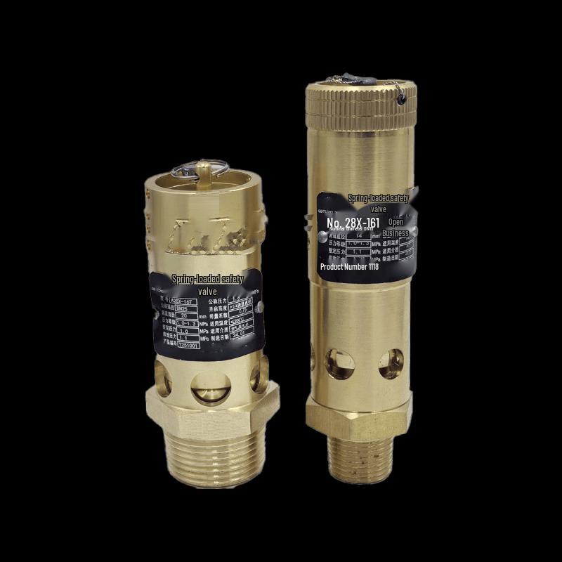 Xunmi Vibration-Resistant Screw Air Compressor Safety Valve