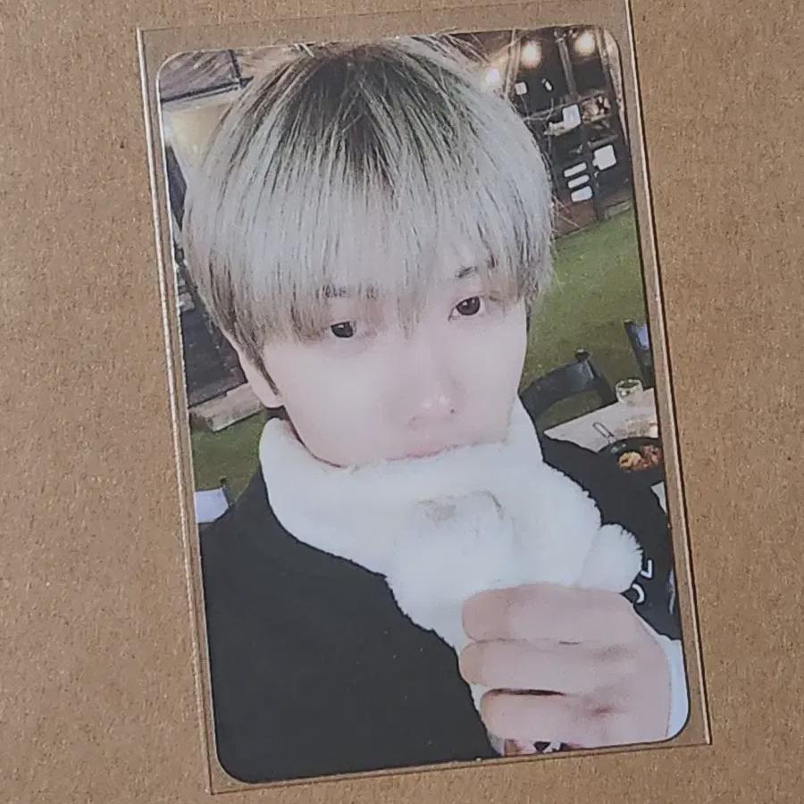 

Nct Dream Shawl Jisung Photo Card