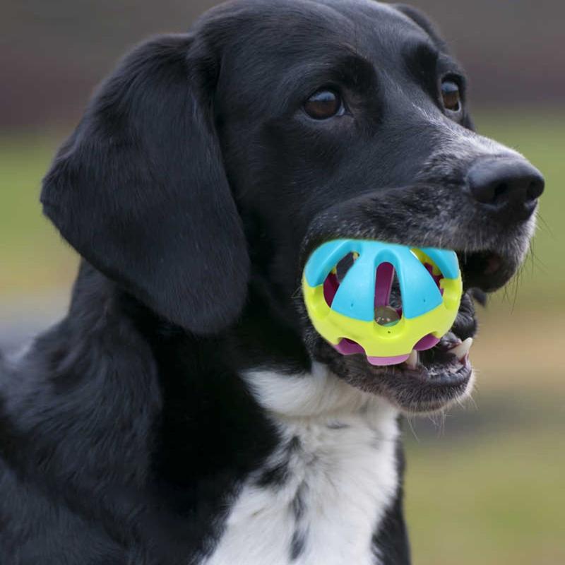 Hundeballspielzeug für mittelgroße und große Hunde Langlebige Hohlkugeln aus Kunststoff mit Glocke im Inneren Interaktives buntes Hundespielzeug