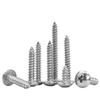 Winstable 304 Stainless Steel Large Flat Head Self-Tapping Screws