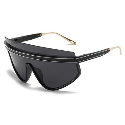 Large Frame Sunglasses, Integrated Glasses, Street Shot Personalized One-Piece Sunglasses