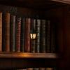 Lampada per Libreria Talos, Luce LED per Angolo Lettura Vintage, Illuminazione Decorativa per Libreria per Casa Ufficio, Regalo per Amante dei Libri