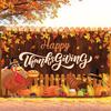357. KatchOn Toile de fond Joyeux Thanksgiving 72x44 pouces pour décorations de Thanksgiving