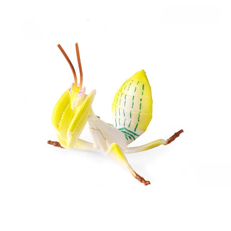 Realistisches Insektenmodell-Set Für Kinder Pädagogisches Und Sammlerstück Spielzeugsammlung