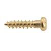 Musiclily Ultra Guitar Tuner Mounting Stainless Panhead for Electric Gold of 2.2x10mm Screws, Steel, Type, Guitars/Acoustic/Bass, (Set 20)