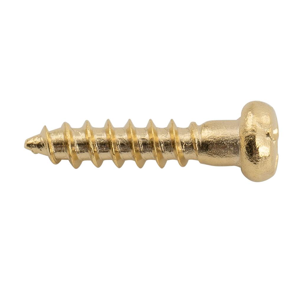 Musiclily Ultra Guitar Tuner Mounting Stainless Panhead for Electric Gold of 2.2x10mm Screws, Steel, Type, Guitars/Acoustic/Bass, (Set 20)