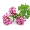 Artificial Hydrangea Lifelike 3 Flower Heads Decorative Simulation Flower for Home Wedding Office