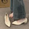Versatile Light Mouth Thick Heel with Skirt Temperament Ladyshoes Spring and Summer 2025 New French Evening Wind Pointed Single Shoes Women's Shoes