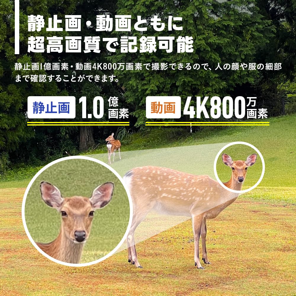 WTW Tsukamoto Wireless Trail Camera Pest Security Battery 100 Megapixel Still 4K AP Smartphone - Bear, Control, Camera, Operated, Images/8MP Video,