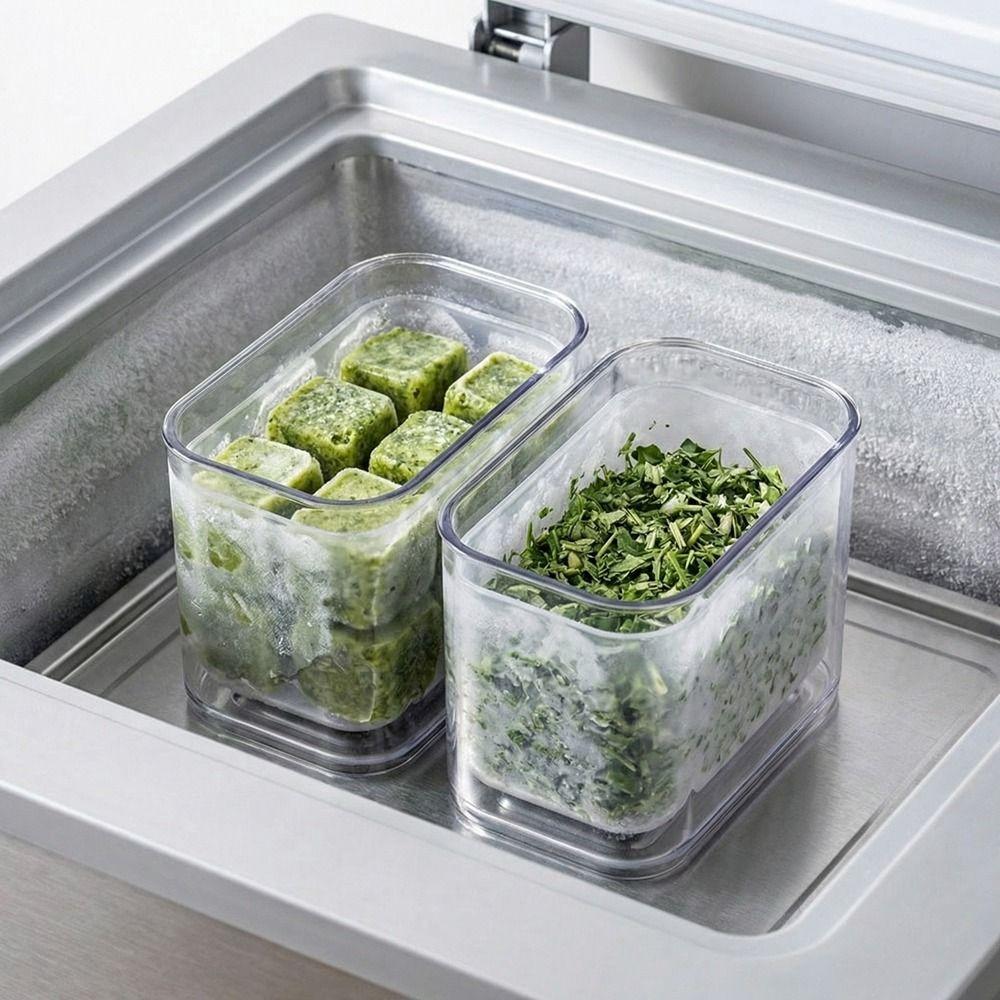 Plastic Scallion Storage Box Sealed Draining Refrigerator Fresh-Keeping Box Space Saving Dust-proof Food Storage Box