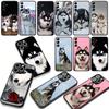 Phone Cover for Samsung Galaxy A07 A13 A12 A14 A23 A42 A50 A51 A52 A53 A70 A71 A72 A21S A04 Note 20 9 8 10 Case Husky Dog Casing