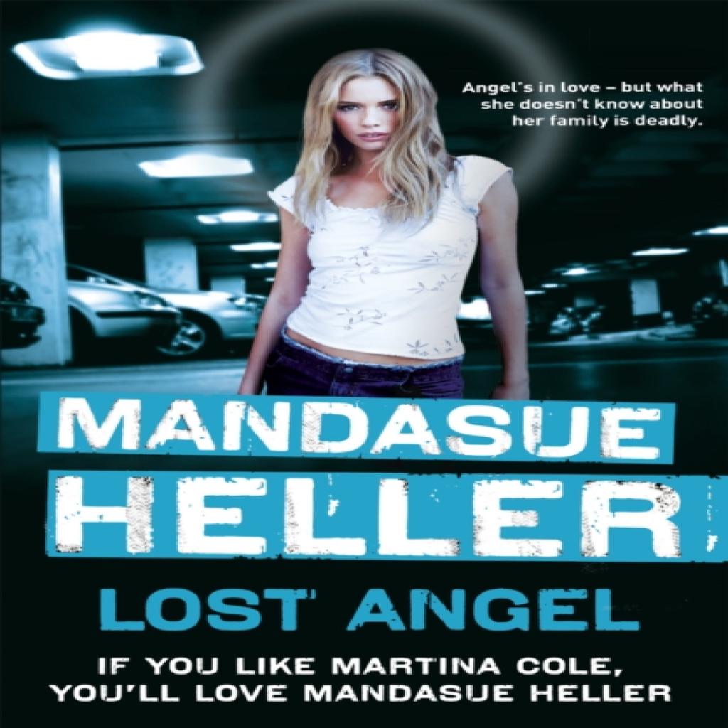 Lost Angel by Mandasue Heller Paperback Book 9780340960110