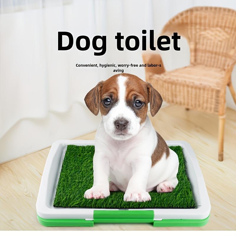 

Reusable and PP Leak-Proof Dog Potty Coaching Pads - Indoor Pet Toilet with Grass Surface for Simple Cleaning Hygien Pup L