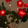 LED Solar Flower Light IP65 Waterproof Automatic ON/OFF Simple Installation