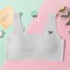 Girls' Seamless Ice Silk Junior Vest - Children's One-Piece Underwear for Students
