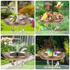 Bird Feeder Standing Bath Iron Large Capacity Outdoor Bird Bath Tub With 5 Pronged Base Garden Decoration Bird Feeding Water