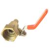 PLEAVIT Bamboo Hose End for Gas Ball Valve and Water Heater Installation