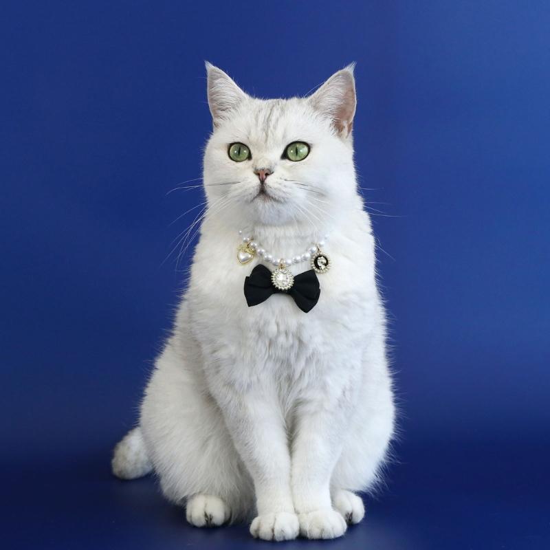 Pet Wedding Pearls Collar Jeweled Necklace Studded Glinting Rhinestones Heart Wedding Costume