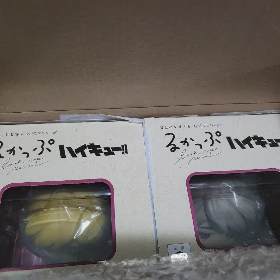 

Haikyu Unopened Look Up Uniform Version Miya Atsumu Osamu