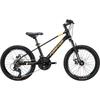 Forever 20-inch Magnesium Alloy Mountain Bike