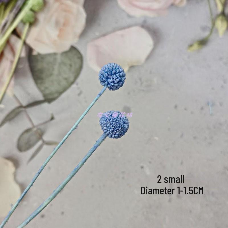 Blue Series Dried Flower DIY Kit: Hydrangea, Thousand-Layer Gold, Eucalyptus Leaf Souvenir Decoration