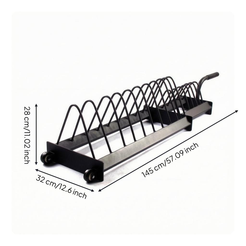 Exercise Disc Storage Rack with Wheels Heavy-Duty Mobile for