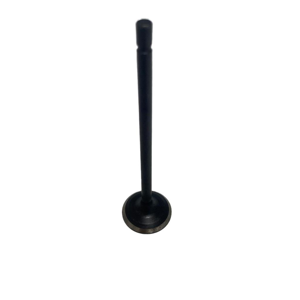 Honda 10th Gen Civic Engine Valves 14711-5AY-H00 P10 A1