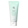 Refreshing Green Plum Cleanser Mild & Low-pH Facial Cleansing Foam 100ml
