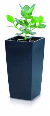 URBI DURS200 Tall Flowerpot with Insert | Anthracite