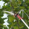 Tesoura de Poda de Alta Altitude, Cortador de Galhos Altos com Polia Podador de Árvores sem Cabo Aparador de Árvores Aparador de Sebes com Corda de Nylon Espessa para Jardinagem