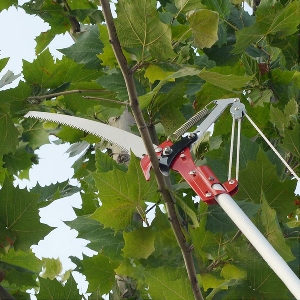 Tesoura de Poda de Alta Altitude, Cortador de Galhos Altos com Polia Podador de Árvores sem Cabo Aparador de Árvores Aparador de Sebes com Corda de Nylon Espessa para Jardinagem