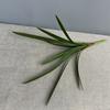 DIY Artificial Sword Orchid Leaves 61cm Fake Spider Plant Realistic Faux Plants  Wedding