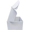 6x4x3 inch Small White Mailers Boxes Recyclable Corrugated Gift Box for Packaging Shipping Set of 10