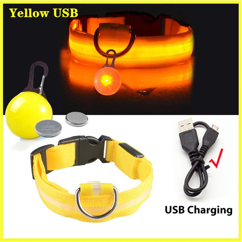 Usb Charging Glowing Dog Collar With Pendant Detachable Luxury Led Light Bright For Small Dogs Cat Night Safety Collar Wholesale