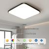 Square Modern Ceiling Light for Bedroom, Living Room, Kitchen, Restaurant, and Balcony