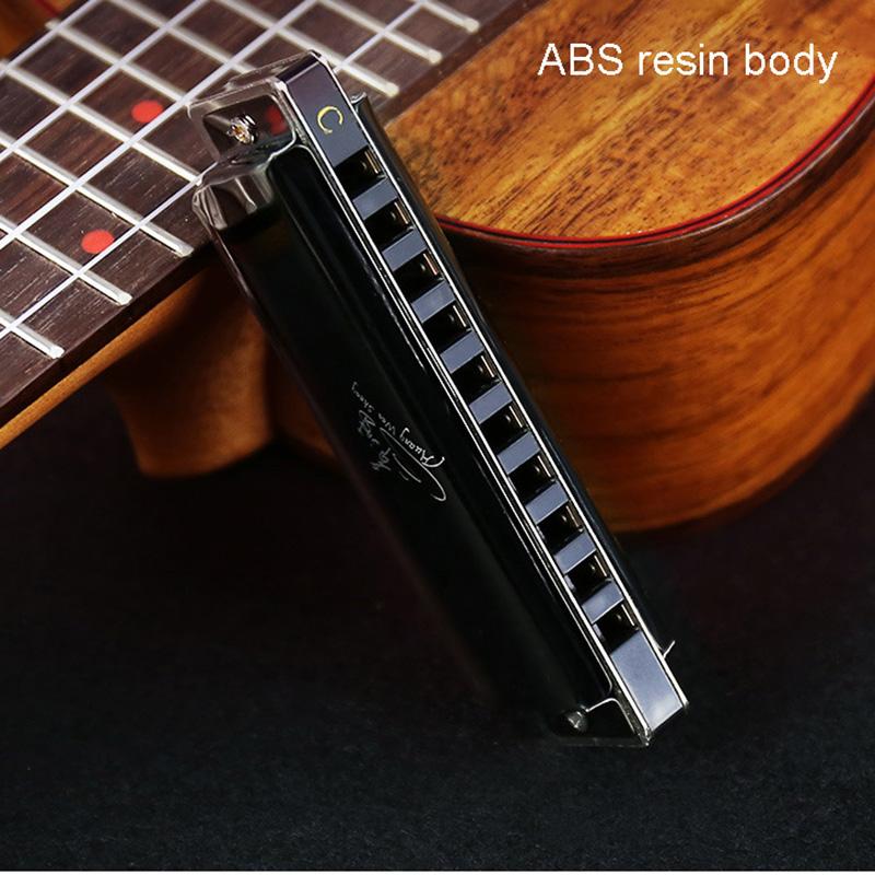 Swan 10dílná harmonika C, ústní varhany, pouzdro z fosforového bronzu, diatonická bluesová harmonika, sada harmoniky pro začátečníky pro děti