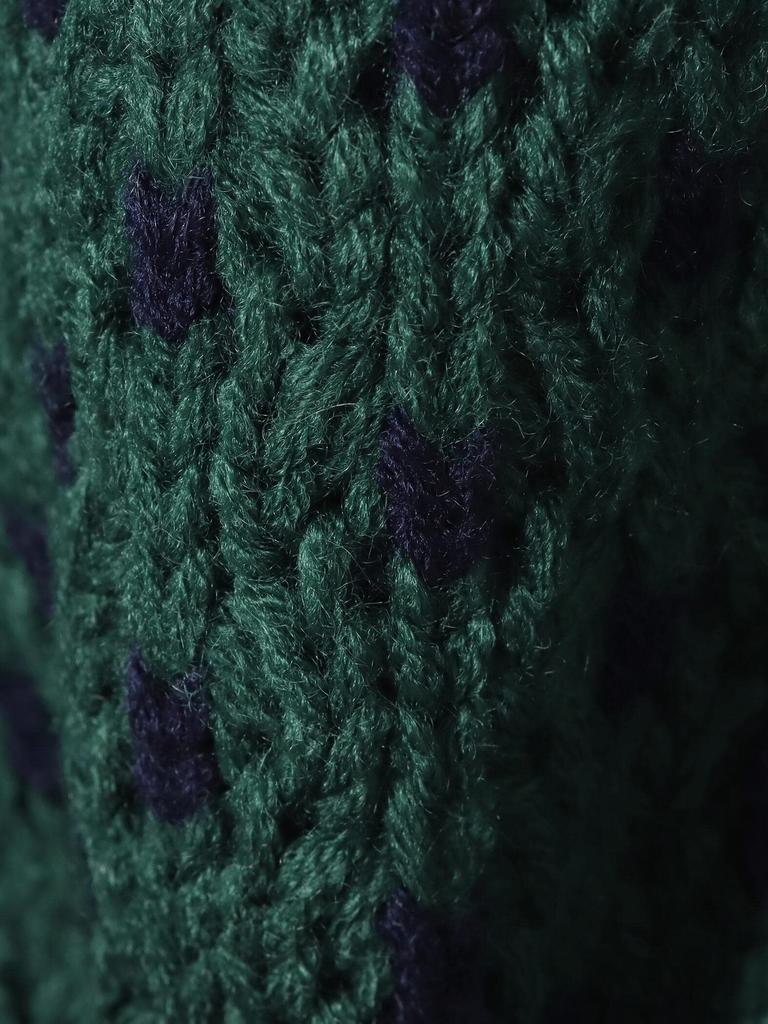 Knit Dot Jacquard Knit GRÜN GRATIS [Beams Heart] L/S Damen