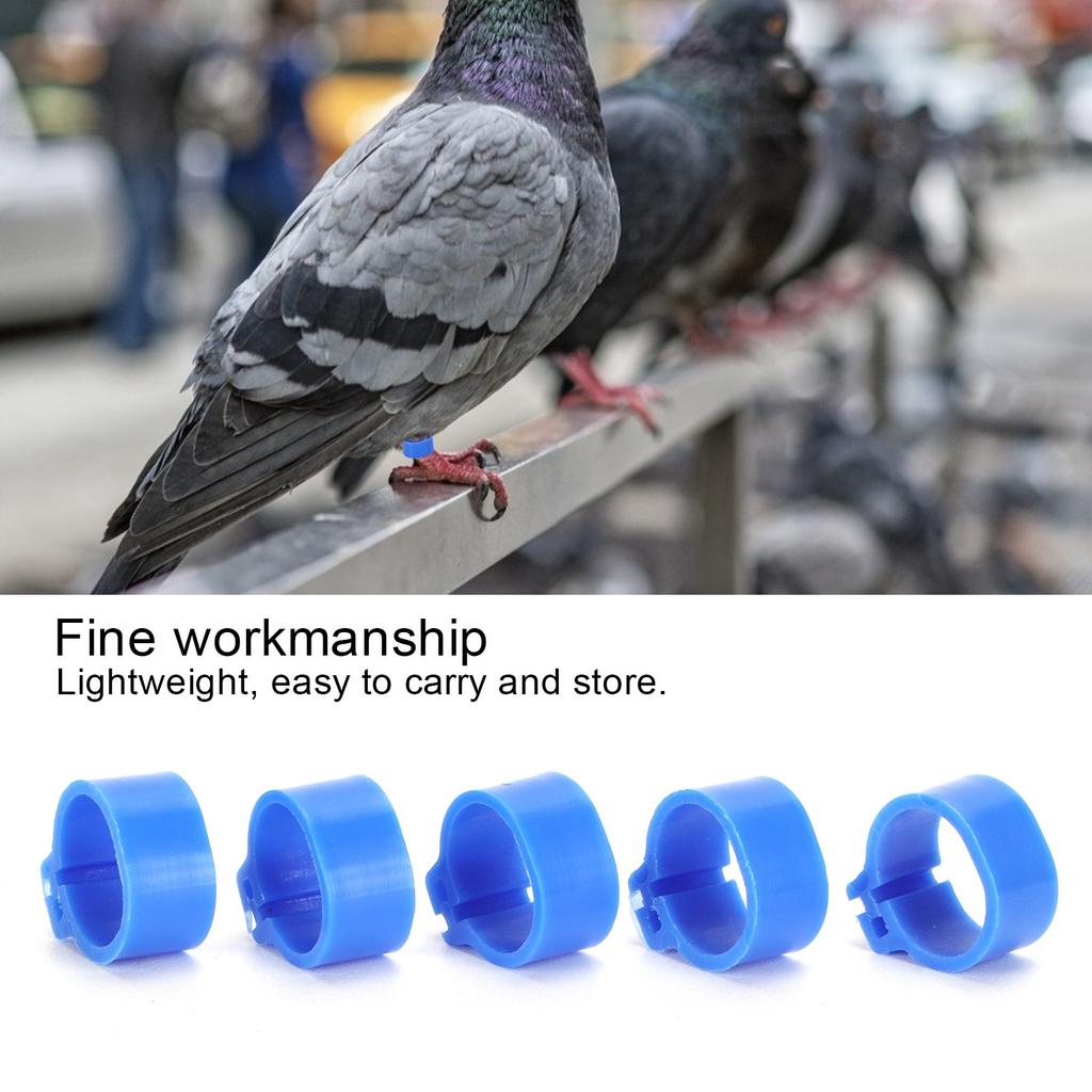 200Pcs 10mm Pigeons No Word Leg   Poultry Foot Clip Identification   Birds Supplies