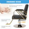 Hair Salon Chair Capacity 420 Lbs Styling Chair with Heavy Duty Hydraulic Pump 360 Swivel Adjustable for Home Barbershop