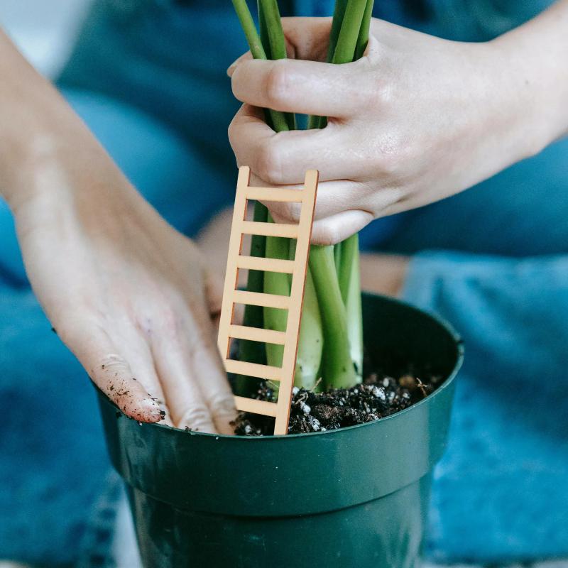40Pcs Miniature Ladder Decorations for Dollhouse Garden Realistic Wooden Craft Props Small Size Landscape Design Lightweight